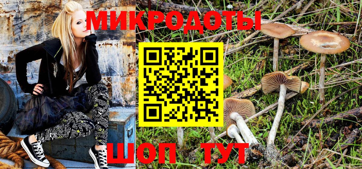 Галлюциногенные грибы мухоморы Сокол